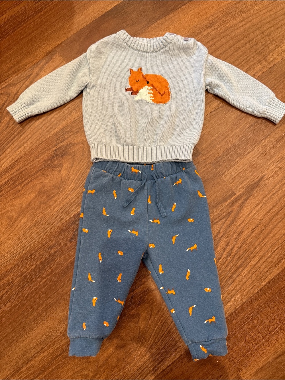 Nordstrom Light Blue Fox Sweater and Blue Joggers Set